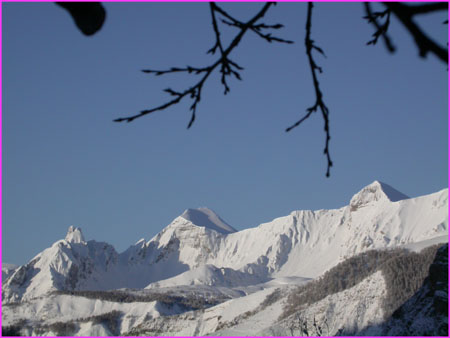 DSCN9749