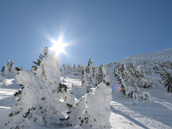 La-pointe-des-Chaudieres_088