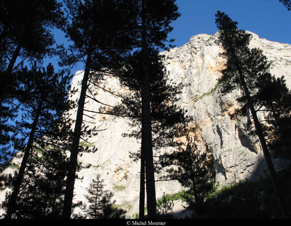 Forts-feignants-frileux 087