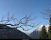 Taillefer 007