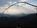 Dame-de-Coeur_Point-Trop_Buis 061