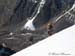 Le-Petit-Renaud 031
