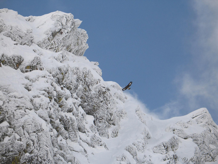 Raid-Larche 122