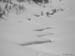 Raid-Larche 155