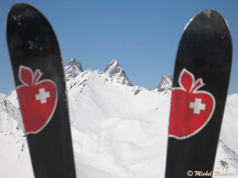 a_Tete-Noire_Chardonnet004