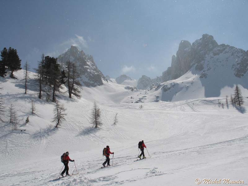 a_Tete-Noire_Chardonnet012