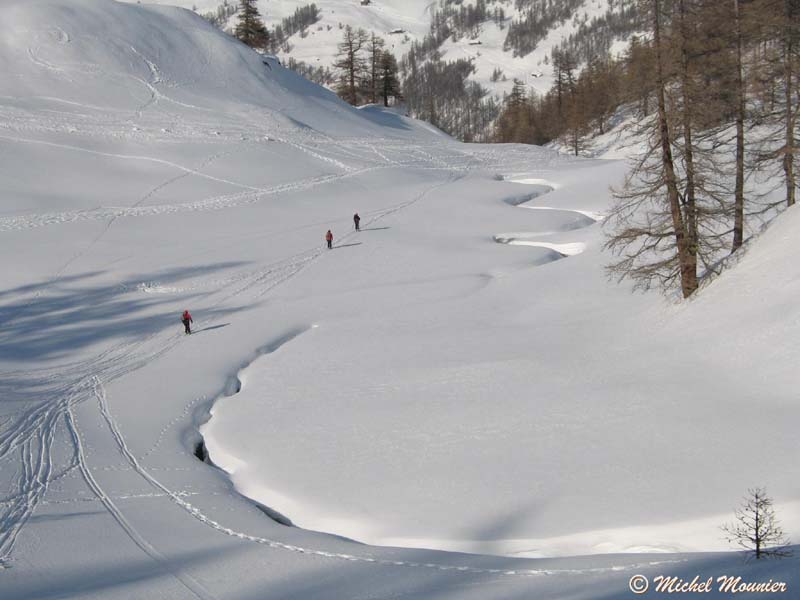 a_Tete-Noire_Chardonnet022