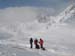 a_Tete-Noire_Chardonnet017