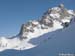 a_Tete-Noire_Chardonnet018