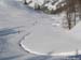 a_Tete-Noire_Chardonnet022