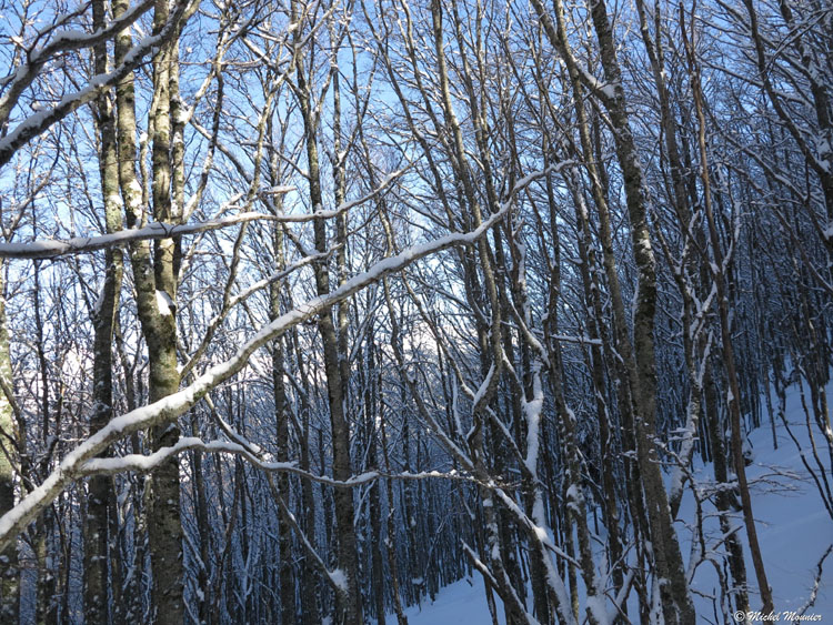 Toussiere 034